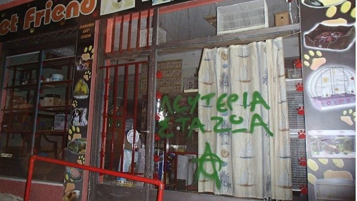 Νέο «χτύπημα» σε κρεοπωλεία και pet shops (εικόνες)